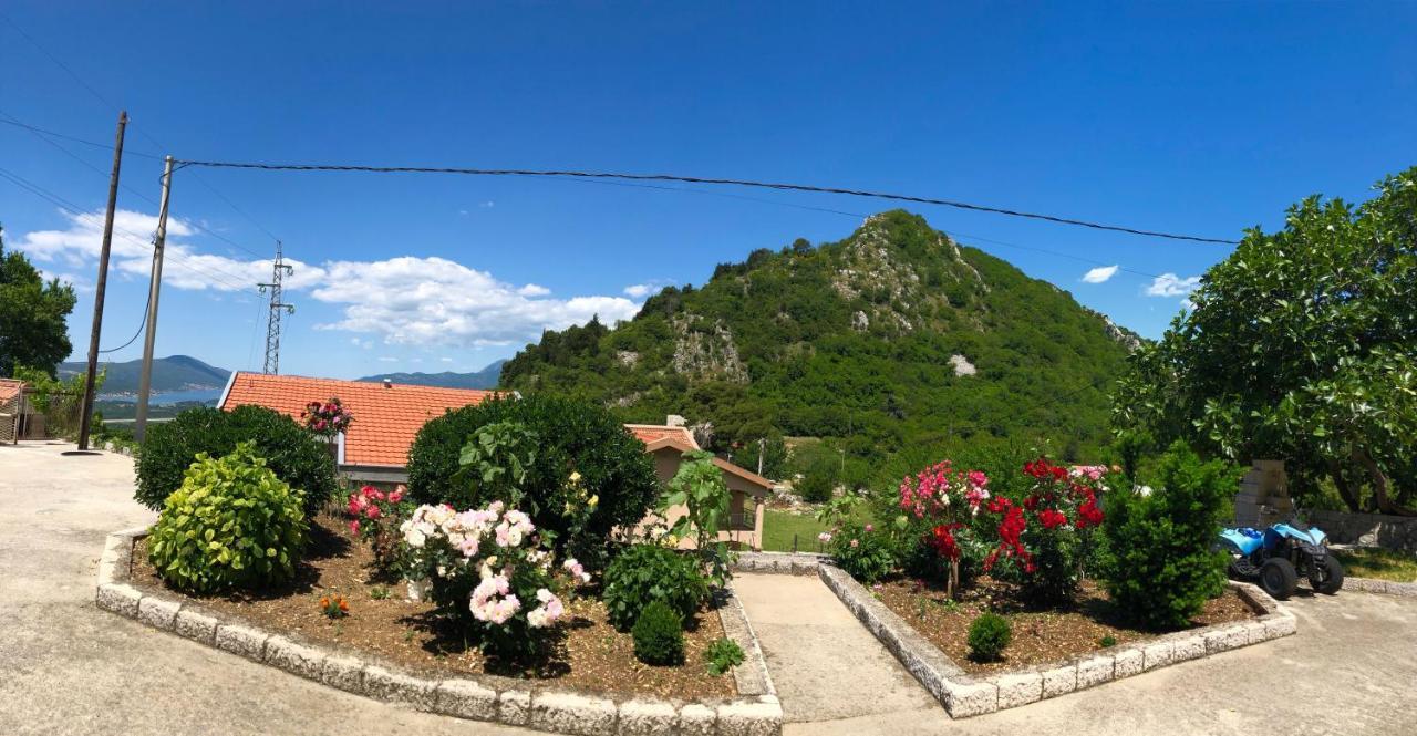 Albomi Apartment Kotor Ngoại thất bức ảnh